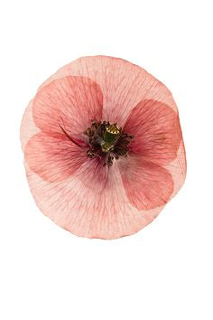 10 Timeless Beauty Tips Everybody Should Know